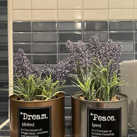 Ideal En Sanvi Διαμέρισμα San Vicente De La Barquera